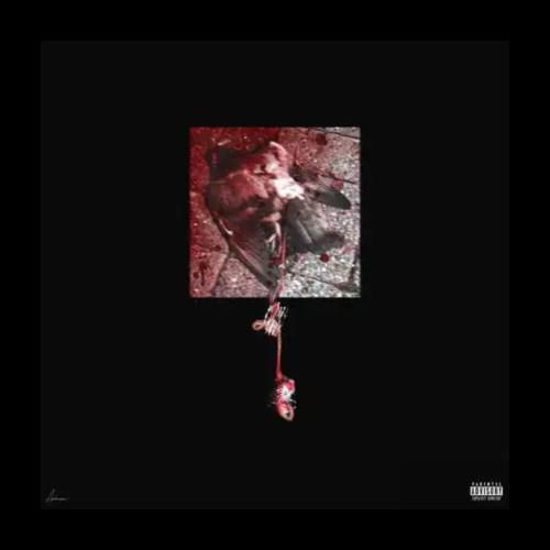 دانلود آهنگ کفتر بازی جیدال