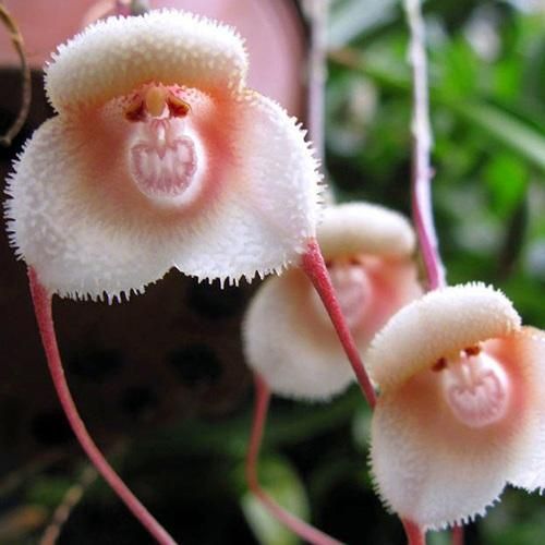 دانلود آهنگ از تو گله ای نیست طبیعت آدما اینه