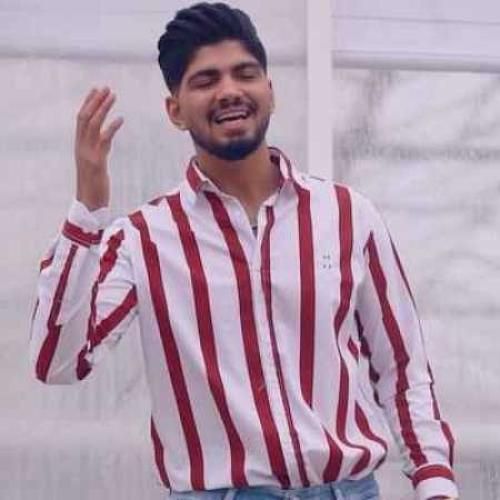 دانلود آهنگ سایبون امیر فضلی