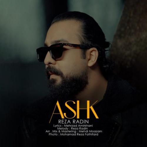 دانلود آهنگ اشک رضا رادین