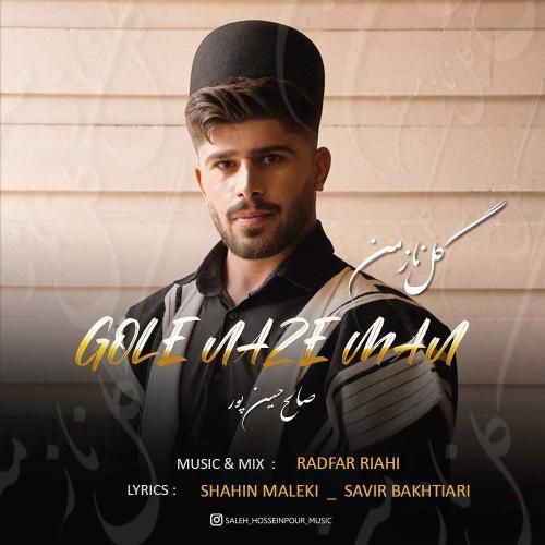 دانلود آهنگ گل ناز من صالح حسین پور