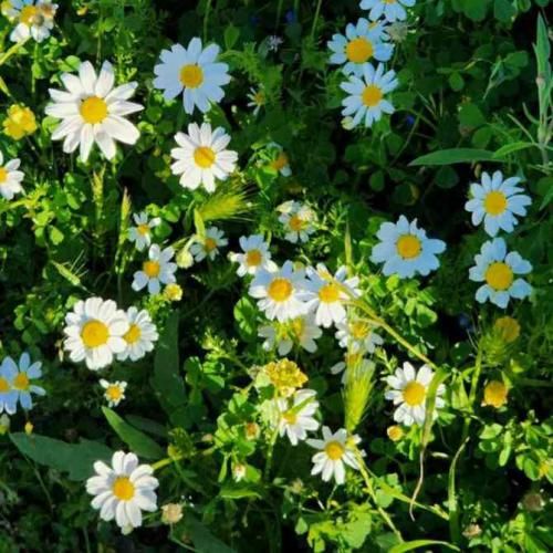 دانلود آهنگ دیگه من نیستم مراقب خودت باش دیگه عوض نشو ترند اینستایی