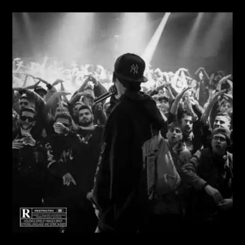 دانلود آهنگ هاست امین تیجی