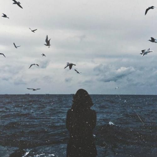 دانلود آهنگ یه شهر سبز دلنواز دامن کوه و دشت ناز ترند اینستایی 