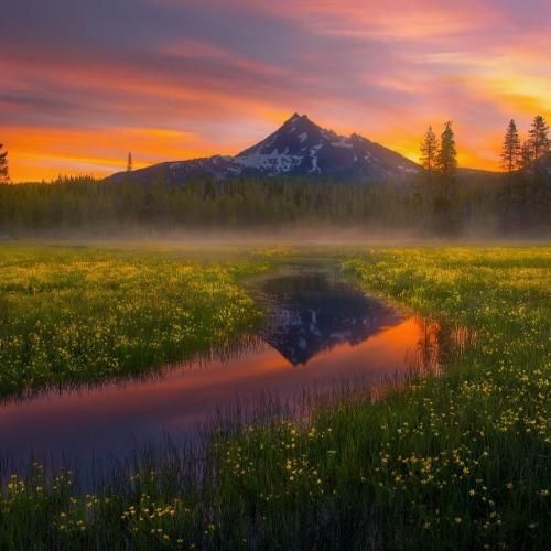 دانلود آهنگ ترکی گری دوندورن با صدای زن