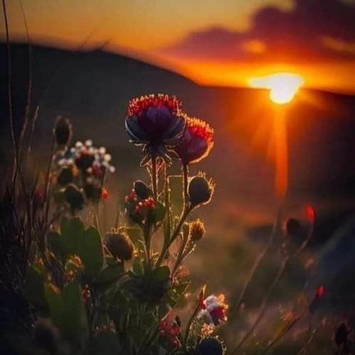 دانلود آهنگ اسمت قسم سختم نازتو میخرم تمام گره خوردی به بختم 