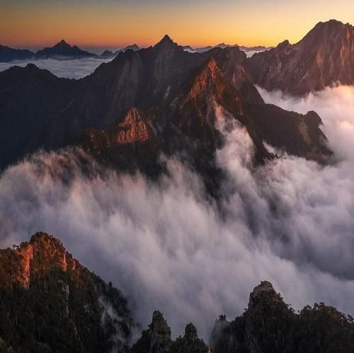 دانلود آهنگ فیمس اینستا شده خوب تو دلا جا شده 