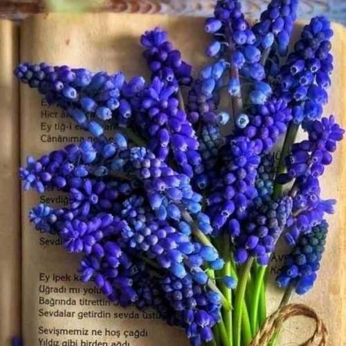 دانلود آهنگ من بهت میگم برگرد اونم بهت میگه برگرد 