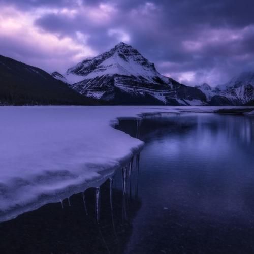 دانلود آهنگ دوس داری تو بشی بانی من ممنوع مالی