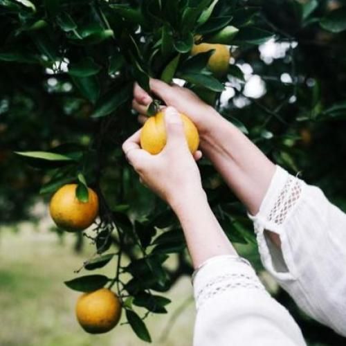 دانلود آهنگ همه جا حرف توعه انگاری که ترند شدی 