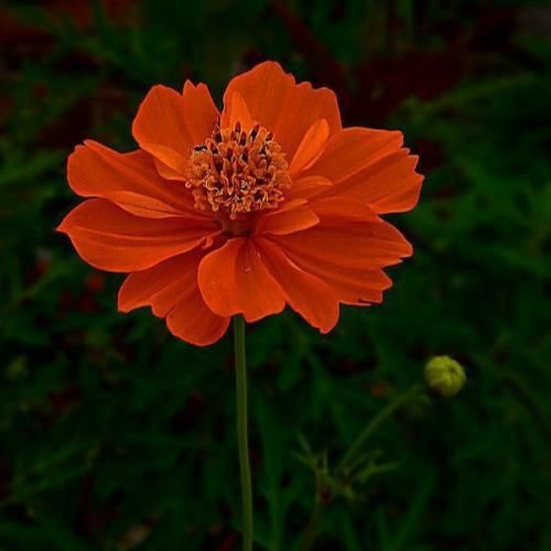 دانلود آهنگ دستاتو به جز من دادیش به کی جان چشات دیوانه بازیات 