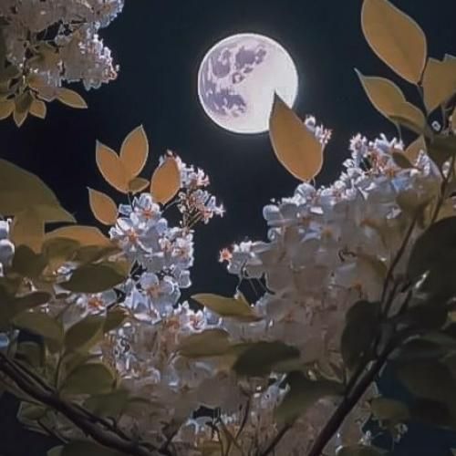 دانلود آهنگ قبل اینکه وابستت بشم میگفت شاید بمیرم 