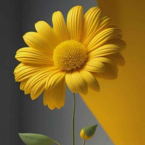 دانلود آهنگ گفتی بیا بیقرار انگار که اومد بهار ترند اینستایی 