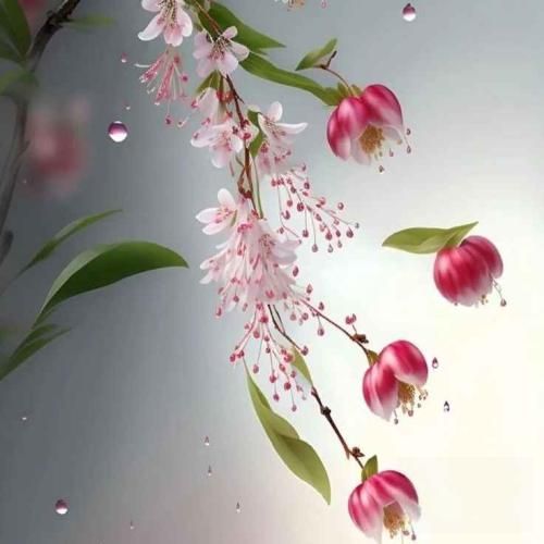 دانلود آهنگ حه مه شیدا دت بم بو کیوه رشه 