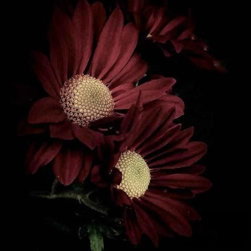 دانلود آهنگ بازی در نیار رو مغزم نرو اگه از من بپرسی زندگی اینه 