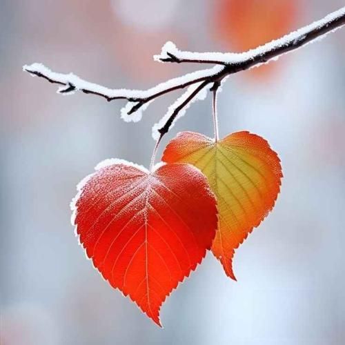 دانلود آهنگ چی داری واسه گفتن آخه لعنتی تو خیلی رو داری