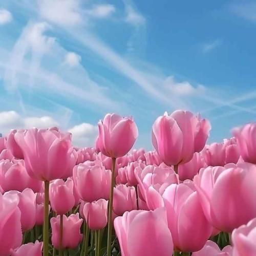 دانلود آهنگ یبار نشد هرچی بگم نه نیاری حسرتش مونده دلم