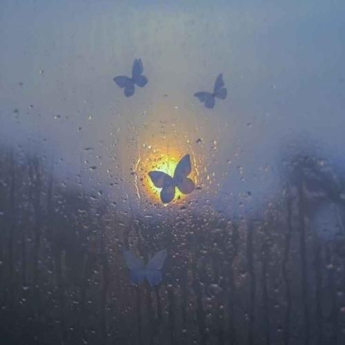 دانلود آهنگ فک کن دعوتت کنه اون شب عروسیش 