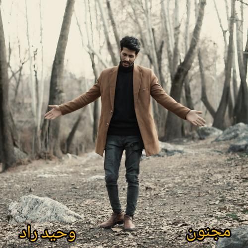 دانلود آهنگ مجنون وحید راد