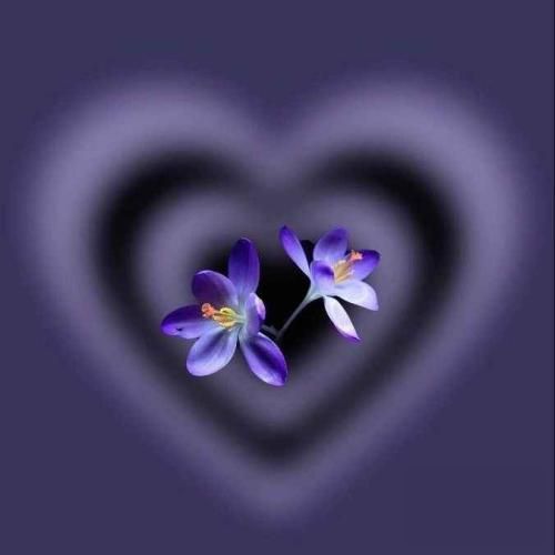 دانلود آهنگ توی روزنامه بخون صفحه حوادثو ببینی مادری که