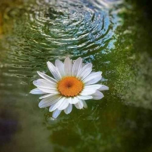 دانلود آهنگ دستمو میگیره سفت تر بهم میگه کی از تو بهتر