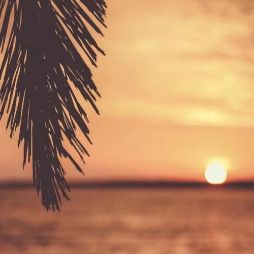 دانلود آهنگ باید خاکسترو بکنی طلا حتی باشی فرزند کوچیک وسط طلاق 