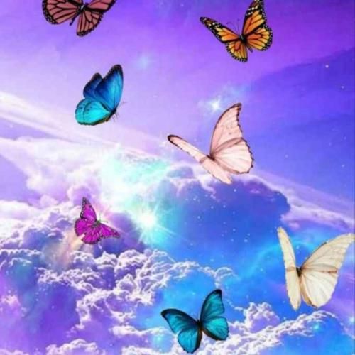 دانلود آهنگ یه کاری کن نیشم وا شه که من از تو شاد شم 