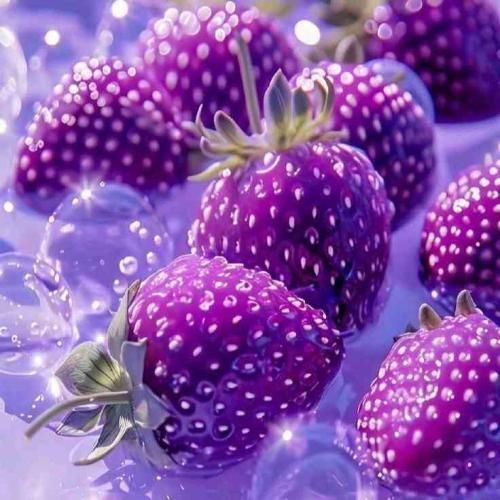 دانلود آهنگ میخوام از درد داد بزنم زمینو گاز بگیرم شاید امشب بمیرم 