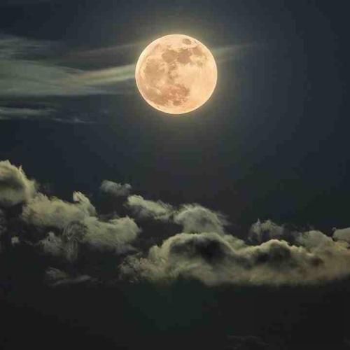 دانلود آهنگ آدما اشتباه میکنن منم اشتباه کردم فکر کردم اگه تلاش کنم درست میشه