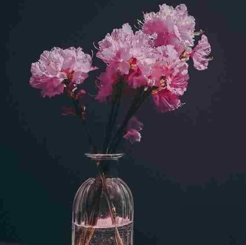 دانلود آهنگ جفتمون پوشیدیم لباس سفید ماله من کفنه مال تو عروس