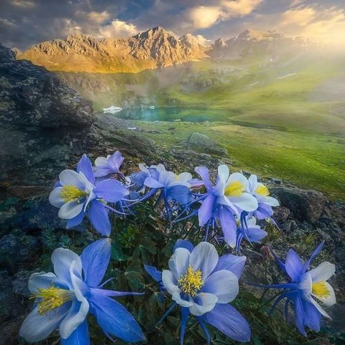 دانلود آهنگ طالبا فاطمه عطایی