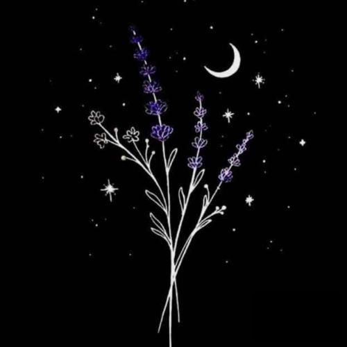 دانلود آهنگ بی احساس شاید تو هم دلت تنگ میشه واسم 