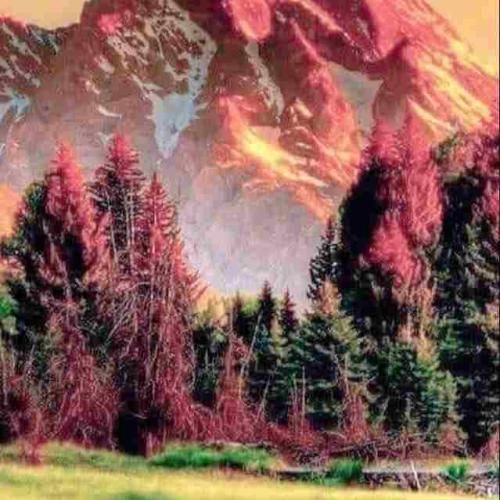 دانلود آهنگ میزاریم رو سرمون قمار میکنیم رو بودنمون