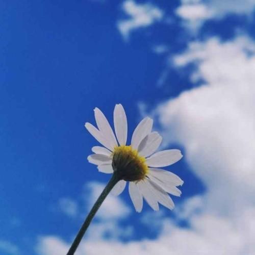 دانلود آهنگ میدونی چرا رپ تهران دیگه خوابیده چون چند سال رپ فارسی 