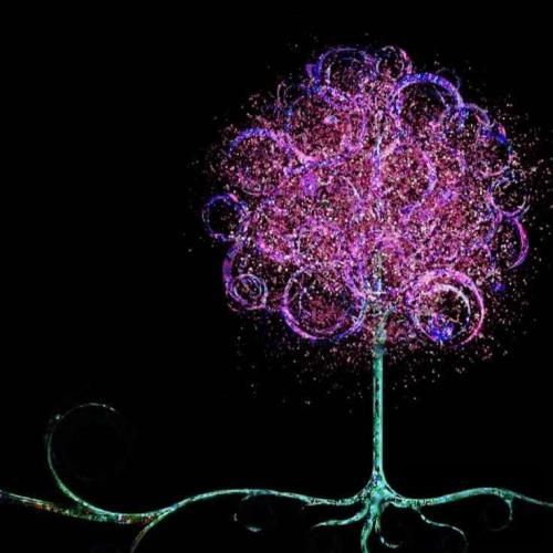 دانلود آهنگ گاهی باید رفت باید برید باید گذشت 