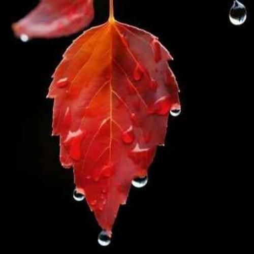 دانلود آهنگ آبروت رو حراج میزنم توی دیجی کالا  