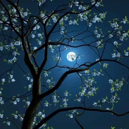 دانلود آهنگ هم فکری هم جسمی هم خواستیم هم تونستیم 