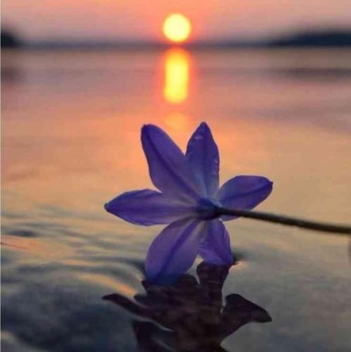 دانلود آهنگ همه رو بوسیدم گذاشتم کنار تو هم روش 