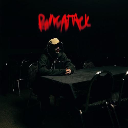 دانلود آهنگ Panic Attack  پارسالیپ