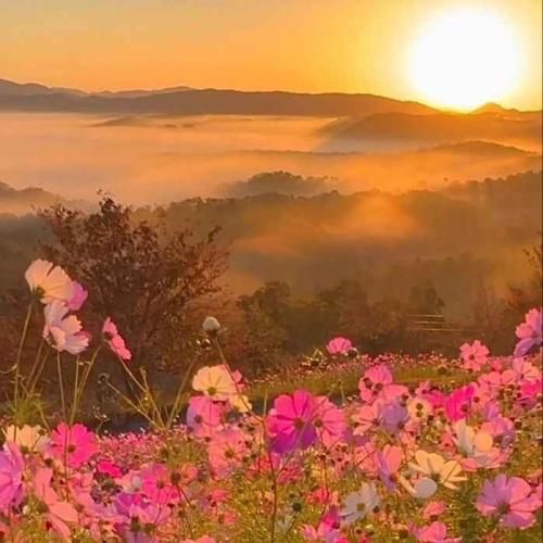 دانلود آهنگ تا وقتی باشی نمیدم جاتو بهم میده لذت تجربه باتو