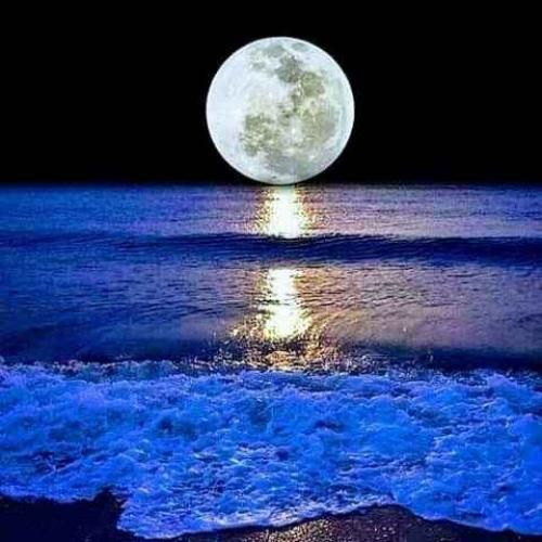 دانلود آهنگ یه سایه میدوئه دنبال من تنها و وحشی رو زمینم 