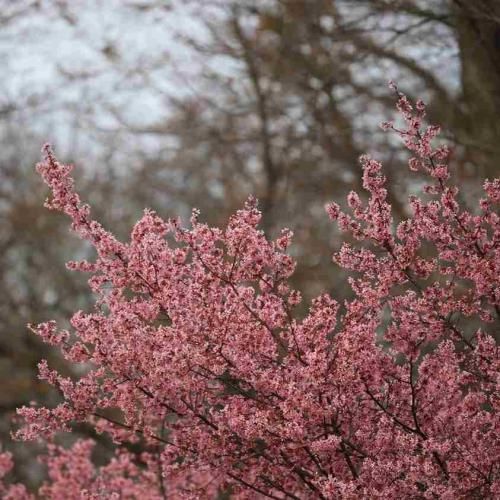 دانلود آهنگ خارجی ما میخوایم مست بکنیم