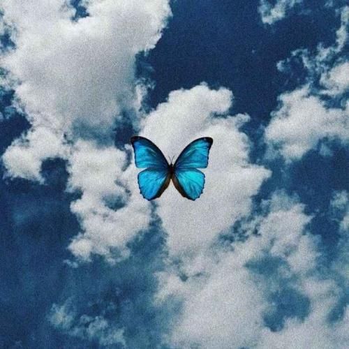 دانلود آهنگ بغضه تو گلوم عکسات روبروم