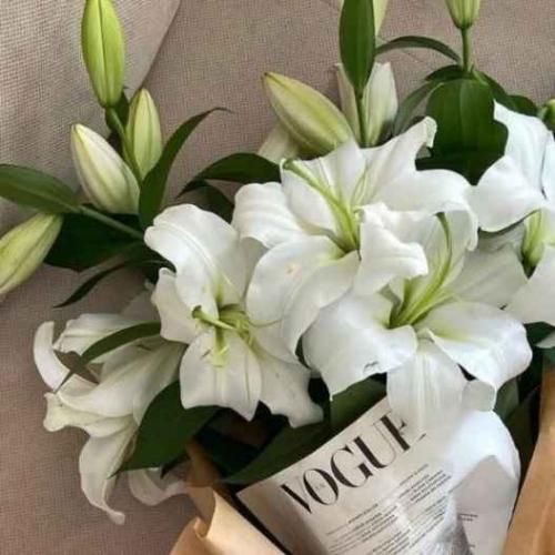 دانلود آهنگ فک کم چن روژه مردمه یاد گرفتیم زخمای خودمونو دوختنو 