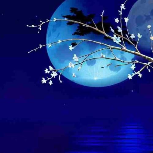 دانلود آهنگ میام باهات توی دانست رحم نداره که دانست