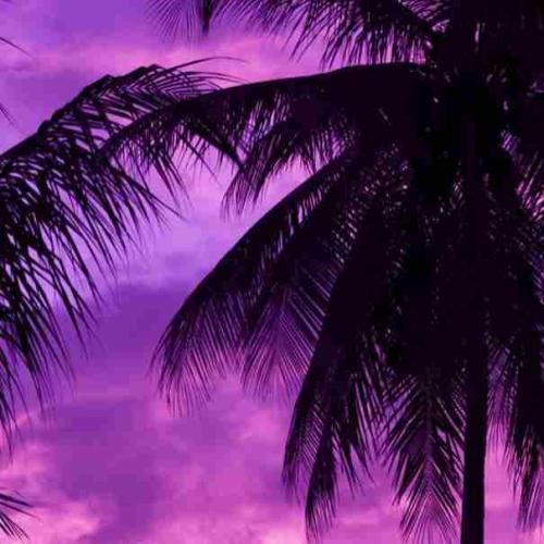 دانلود آهنگ انقد شیرینه فرهادم بشنوه ازش از سر و بدنش