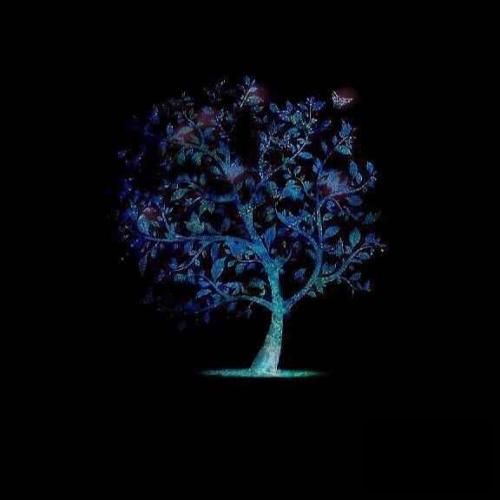 دانلود آهنگ امشو شو آخرمه پرشه شرم تیدن گلم 