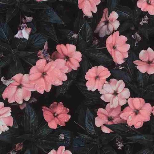 دانلود آهنگ طلاقه راه پر کشیدن وقتی که قلبامون بریدن