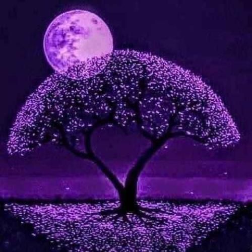 دانلود آهنگ دیگی دیگی دیگی مسو هین خومه