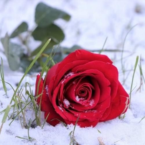 دانلود آهنگ سوئیچ اونور وصله به جا کلید 